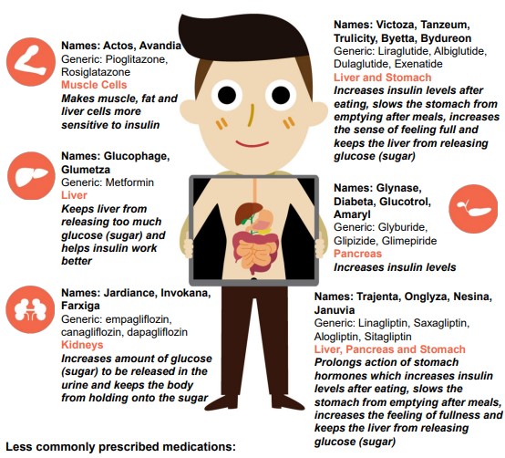 diabetes and medications infographic