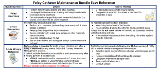 Screen shot of Foley Catheter Maintenance Bundle tip sheet