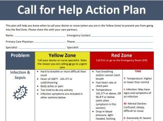 Call for Help Tool Action Plan
