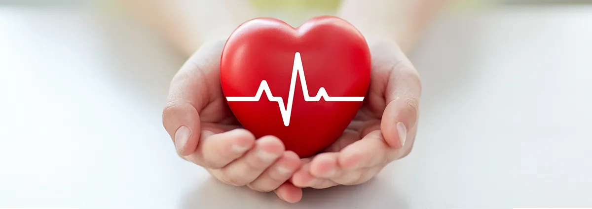 Close up of hands with cardiogram on red heart